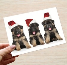 German Shepherd Christmas Cards & Packs Alsatian GSD Cute Dog Xmas Cards Puppies