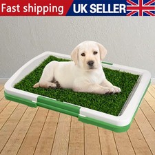 Pet Dogs Toilet Mat Indoor