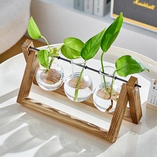3 PCS Wooden Hydroponic Vase