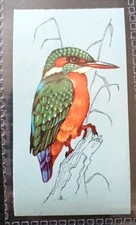 TETLEY (TEA CARD)-BRITISH BIRDS 1970-#41-KINGFISHER
