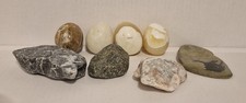 Polished Egg Shaped Stones