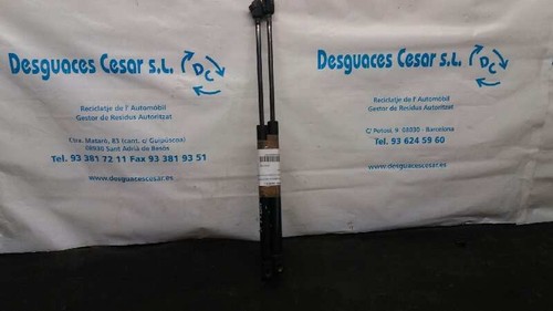 Tailgate gas strut 2592052 - tailgate,