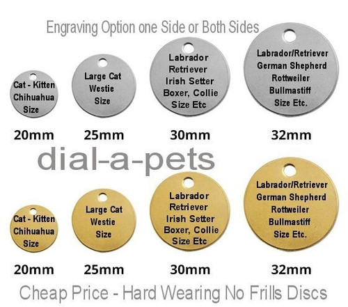 Cat dog tags kitten - cat,