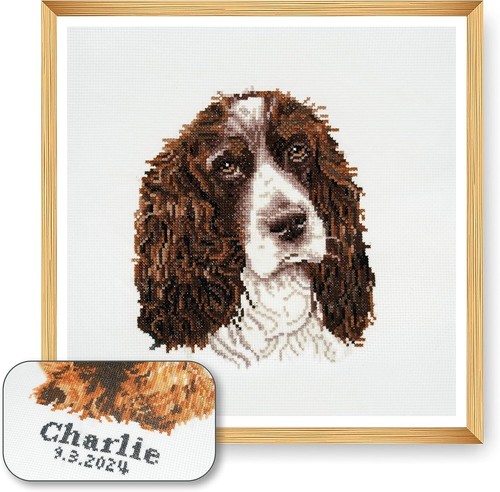 Springer spaniel cross stich - springer,