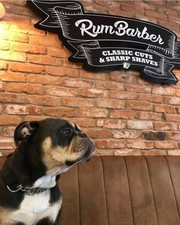 Farmhouse Reclaim Brick Slip /