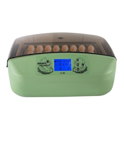 Digital egg incubator - egg,