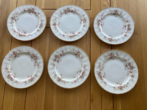 Paragon victoriana rose - paragon,