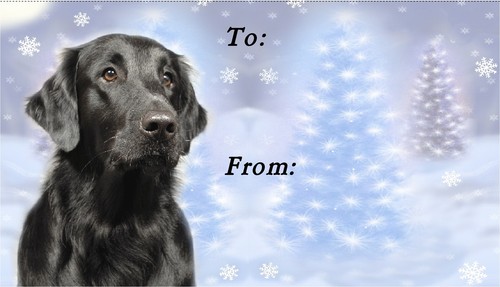 Flatcoated retriever christmas - retriever,