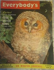 195 everybody magazine - 195,