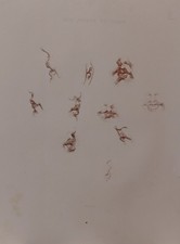 Original 1860 John Burnet