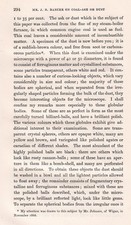 THE MICROSCOPICAL EXAMINATION