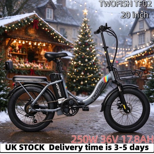 20in coummuter bike 250w - e-bike,