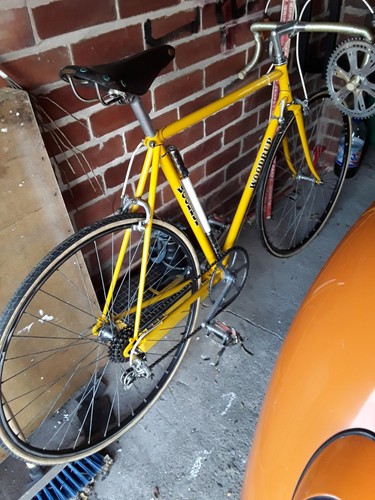 Woodrup mens vintage cycle - woodrup,