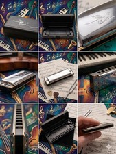 Swan 10-Hole Diatonic