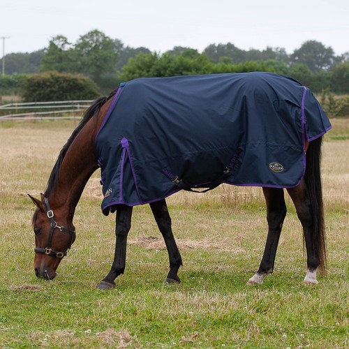 Gallop trojan light weight - trojan, 0g