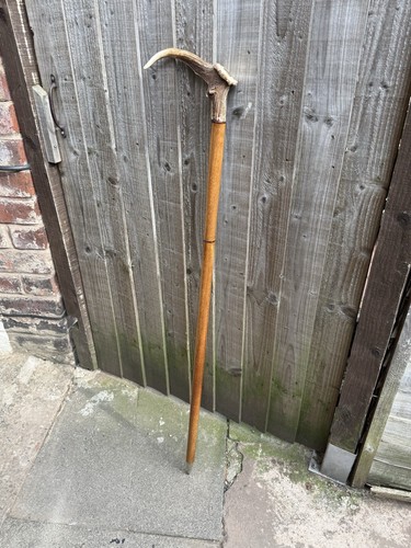 Walking sticks outdoor - walking,