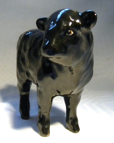 Beswick aberdeen angus calf - ,