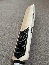 Gunn & Moore English Willow Cricket Chrome 404