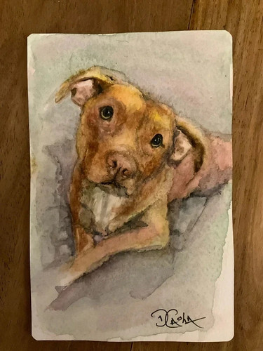 Original painting staffy - original,