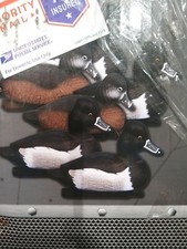 Ringneck decoys tufted tufty - ringneck,