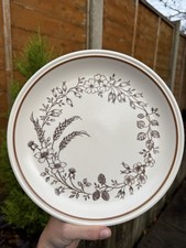 Two Vintage Dinner Plates