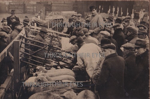 Original photo watford - original,