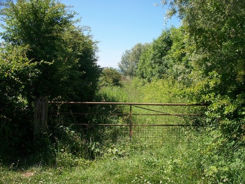 Photo unused track kingham - photo,