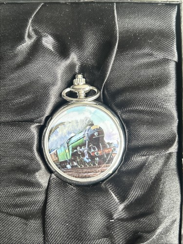 Glory steam pocket watch - pocket,