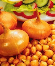 Onion Sets for Spring Planting