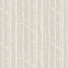 Cole son icons - cole, woods