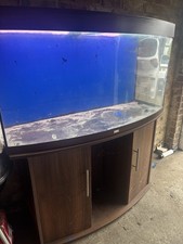 Dual Bow Front Fish Tank