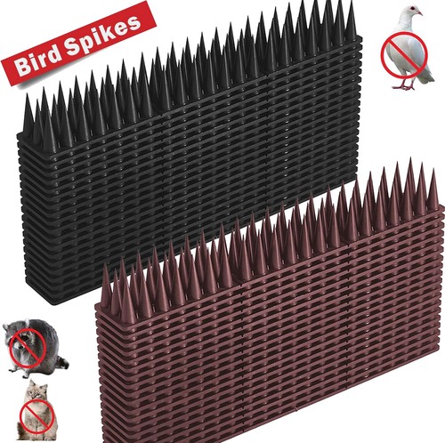 10m bird spikes - anti, cat