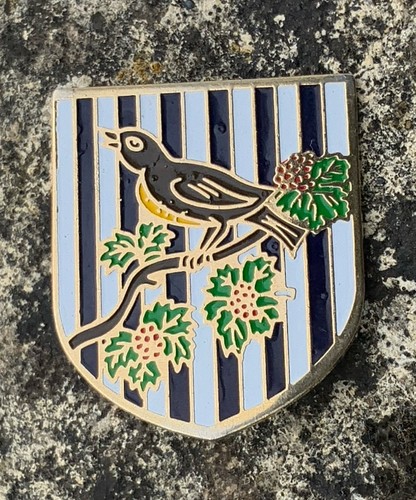 West bromwich albion football - west,