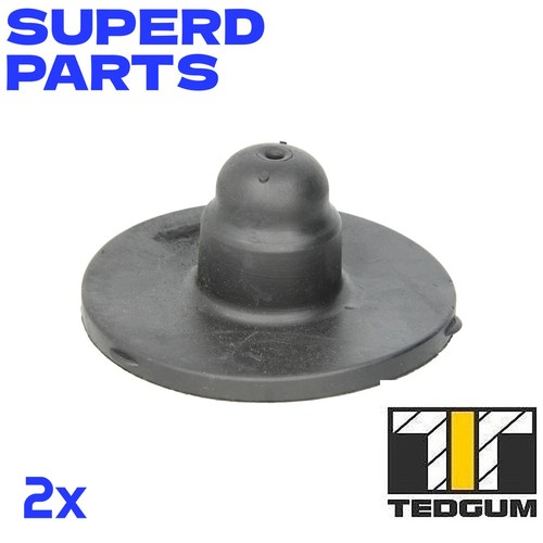 Coil spring washer - coil, rear