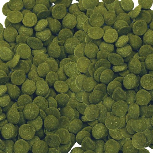 Aqueon algae rounds - aqueon,