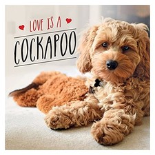 Love is a Cockapoo: A Dog-Tastic Celebration of the World's... - Ellis, Charlie