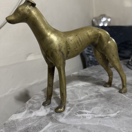 Greyhound solid brass dog - greyhound,