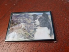 Border Collie magnet Border