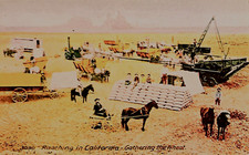 Agriculture: Gathering Wheat