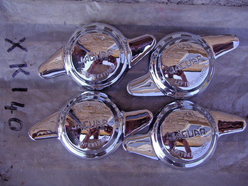 Jaguar chrome 2 eared - jaguar,