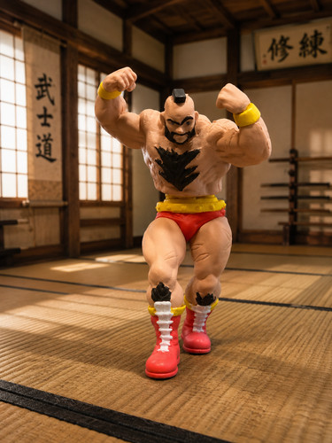 Street fighter kagami looking - fighter,