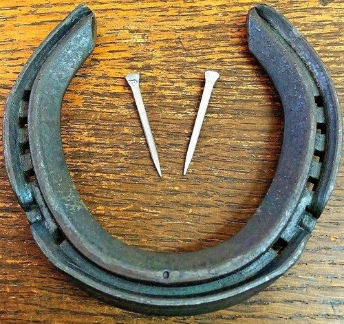 100 real hind - 100, horseshoe