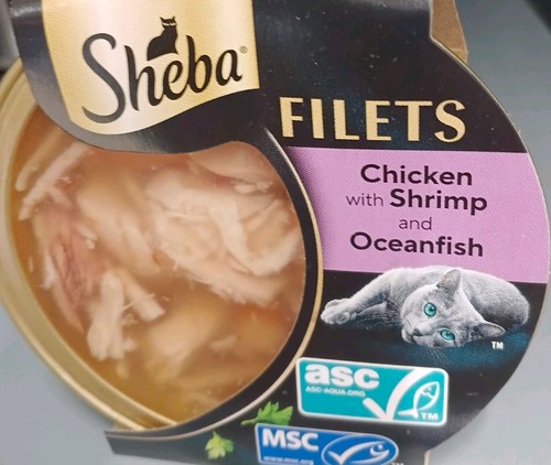 Filets adult cat food with - adult,