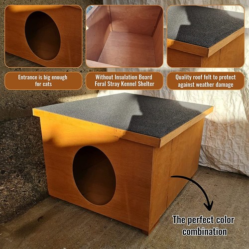 Cat house feral - house, stray