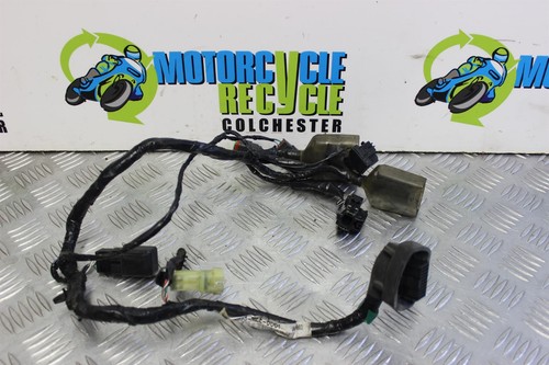 Honda cbr 600 loom - rr, front
