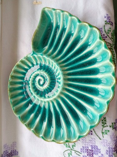 Turquoise seashell plate - seashell,