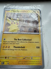 Pokémon TCG Pikachu At The