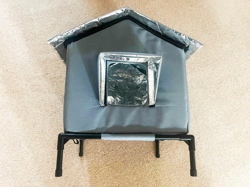 Outdoor cat house - cat,