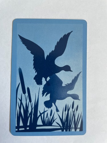Silhouette flying ducks - flying,