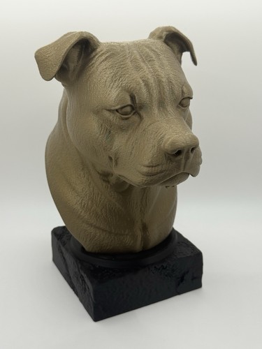 Staffordshire bull terrier dog - bull,
